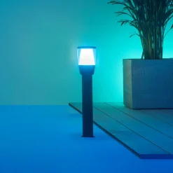 WiZ Elpas LED-vegglampe svart RGBW Starter Set