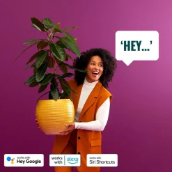 WiZ Elpas LED-vegglampe svart RGBW Starter Set