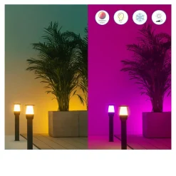 WiZ Elpas LED-vegglampe svart RGBW Starter Set