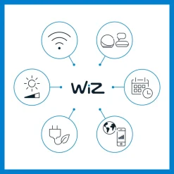 WiZ G95 LED-filamentpære globe WiFi E27 6,3 W RGBW