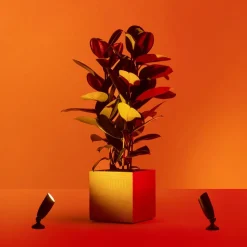 WiZ LED-spot Ground starter kit dobbelpakke