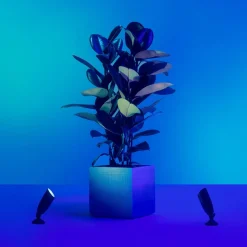 WiZ LED-spot Ground utvidelse enkeltpakke