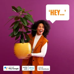 WiZ utendørs LED-vegglampe Elpas RGBW, svart